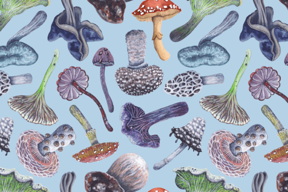 Colorful Mushroom Seamless Pattern